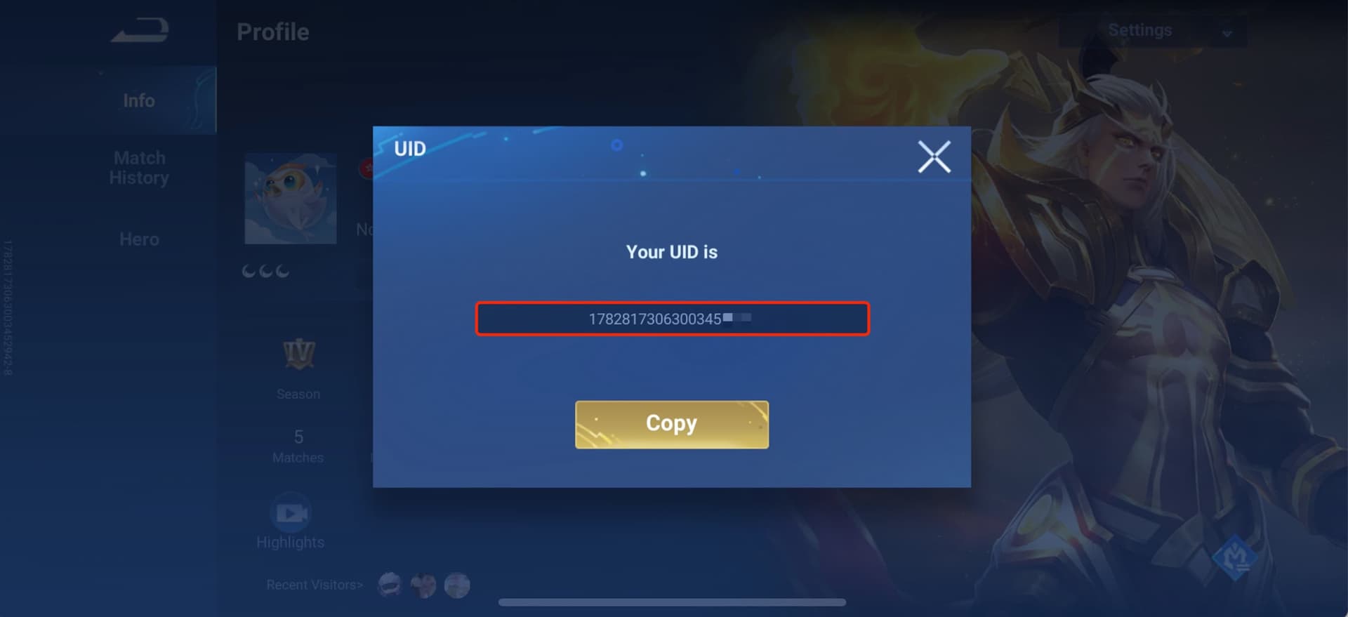 Honor of Kings: Copy the UID